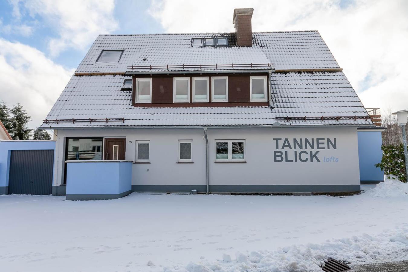Ferienwohnung Familien Loft Im Haus Tannenblick Lofts Браунлаге Екстер'єр фото
